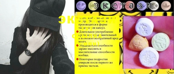 прущие грибы Новозыбков