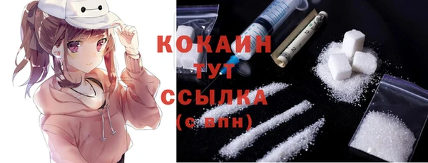 прущие грибы Новозыбков