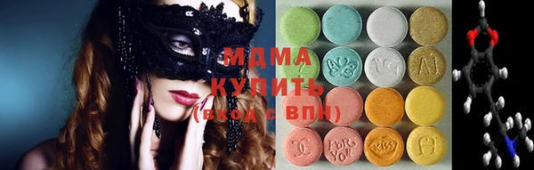 прущие грибы Новозыбков