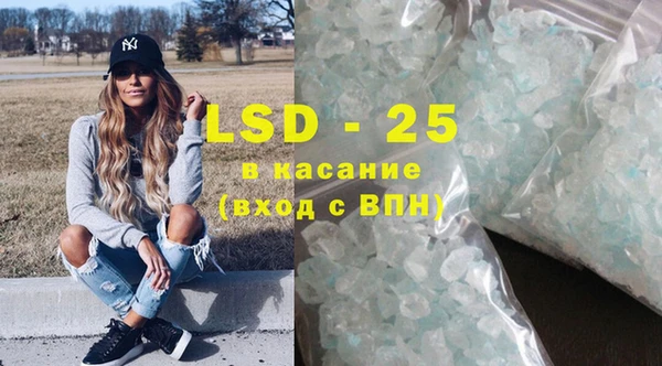 прущие грибы Новозыбков