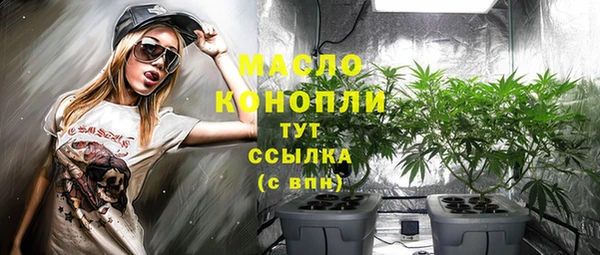 прущие грибы Новозыбков