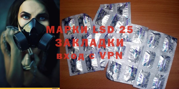 гидра Новодвинск