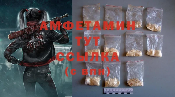 прущие грибы Новозыбков