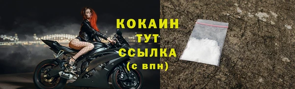 гидра Новодвинск