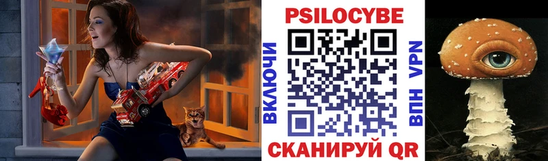 Псилоцибиновые грибы мицелий  Купить  Магадан 